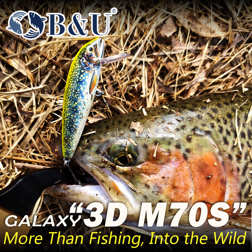 B&U Fishing Lures Sinking Minn - 3D Printing Lure recension och pris