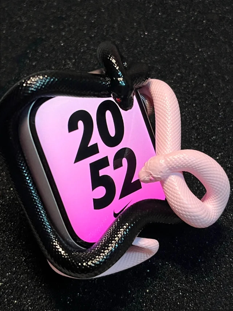 Snake Resin Material Watch Cas - 3D Printing Design Software recension och pris