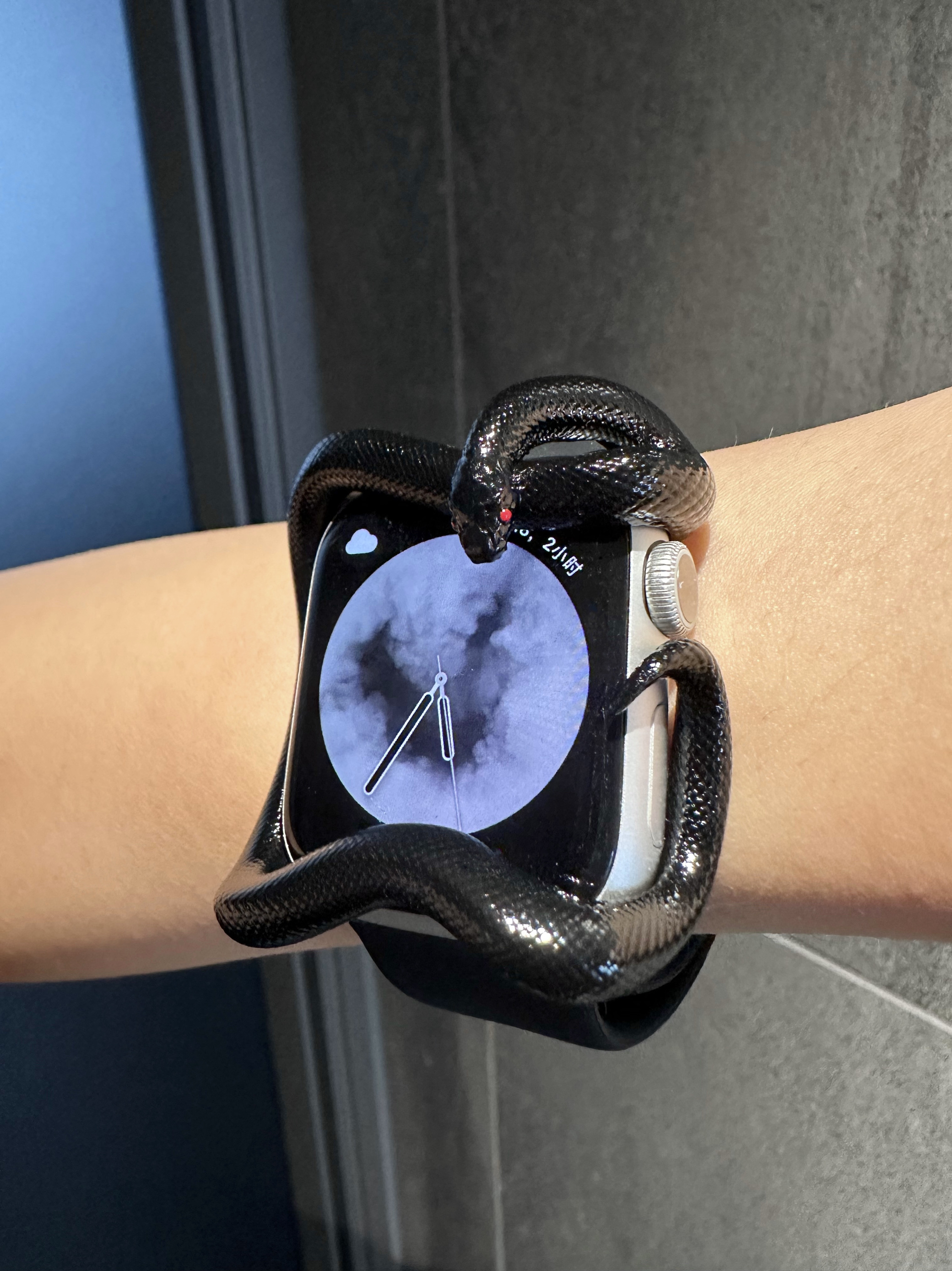 Snake Resin Material Watch Cas - 3D Printing Design Software recension och pris